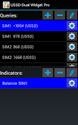 USSDDualWidgetPro Screenshot 4