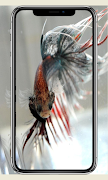 Fish Wallpaper Ekran Görüntüsü 5