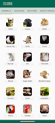 Vet Nurse Quick Reference Affiche