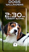 Dogs Wallpapers screenshot 6