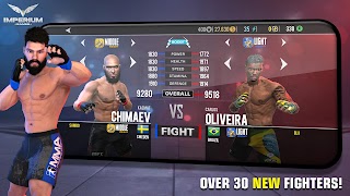 Clash de combat MMA capture d'écran 6