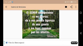 Versículos Bíblicos diarios screenshot 6