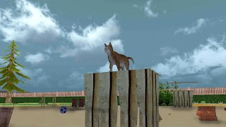 Cat Simulator 2017 screenshot 7