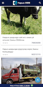 Нарын 8080 скриншот 1