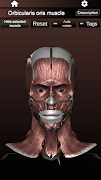 Muscular System 3D (anatomy) syot layar 3