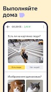 Яндекс Задания اسکرین شاٹ 1