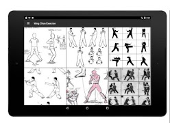 Wing Chun Exercise screenshot 6