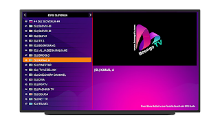 2 Schermata Boongo STB