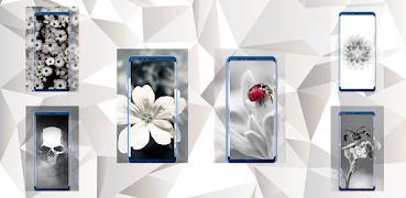 White Wallpapers Poster