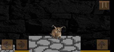 Floppa Running screenshot 6