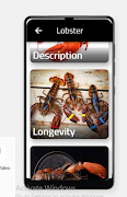 Lobster screenshot 2