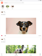 EverPetz ảnh chụp màn hình 4