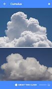 Field Guide to Clouds captura de pantalla 2