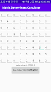 Matrix Determinant Calculator screenshot 3