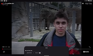 YTPlayer imagem de tela 6