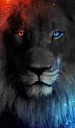 Lion Wallpapers screenshot 1