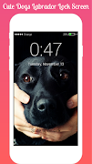 برنامه‌نما Dogs Labrador Lock screen Dogs عکس از صفحه