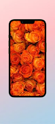 Orange Rose WalL capture d'écran 6
