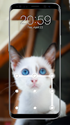 猫图案锁 截图 2