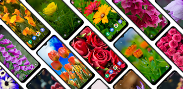 Flower Wallpaper ポスター