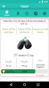 Pregnancy Week By Week Cartaz