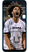 Pumas Wallpapers Screenshot 6