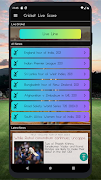 Cricket Live Score 2021 ポスター