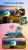 Chromecast تصوير الشاشة 2