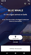 Explorer - AMNH NYC スクリーンショット 1