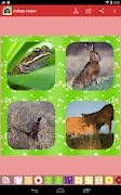 Collage Maker Ekran Görüntüsü 3