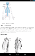 Human Anatomy screenshot 7