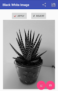 黑白色的图像 截图 5