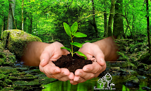 Forest for the Future imagem de tela 1