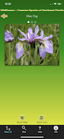 Southern Florida Wildflowers screenshot 2