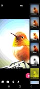 Simple Photo Editor اسکرین شاٹ 7