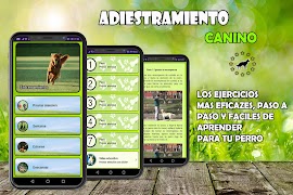 🐶 Adiestramiento Canino 🐶 Guía de entrenamiento تصوير الشاشة 1