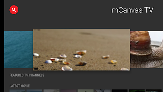 mCanvas TV Ekran Görüntüsü 5