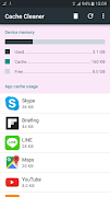 cache ram cleaner ポスター
