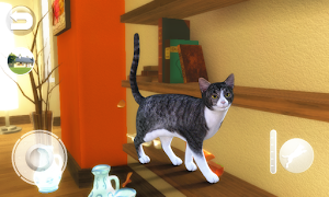 Talking Devon Rex اسکرین شاٹ 2