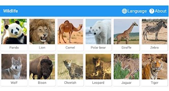 Fancy Animals ポスター