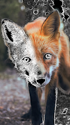 Camera live masking effects VR captura de pantalla 4