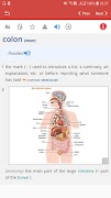American Learner DictionaryPro screenshot 2