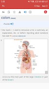 American Learner DictionaryPro ảnh chụp màn hình 2