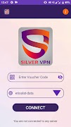 Silver VPN poster