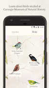 Dawn Chorus Screenshot 3