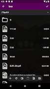 2 Schermata Cloud Storage Manager