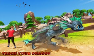 Real Dragons Training Sim 2021 스크린샷 4