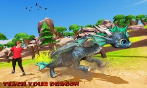 Real Dragons Training Sim 2021 ภาพหน้าจอ 4