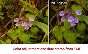 Photo/Vector Graphics Editor скриншот 3