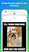 Meme Maker পোস্টার